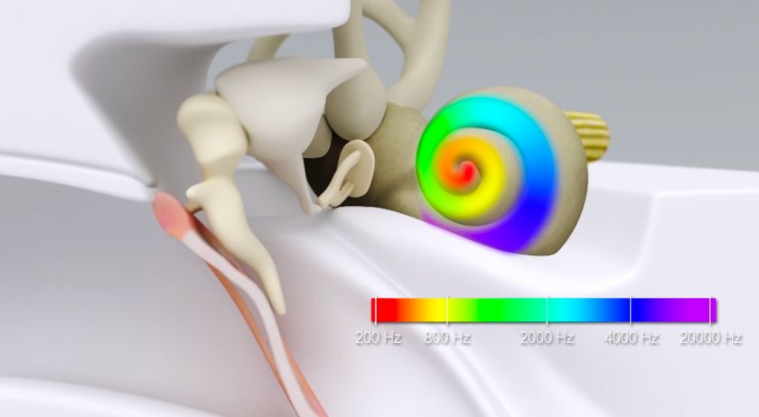 助听器如何拯救耳聋(图5)
